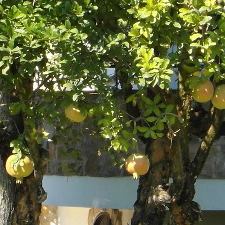 Lura Отель типа 