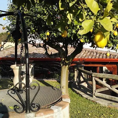 Oda ve Kahvaltı Lura
