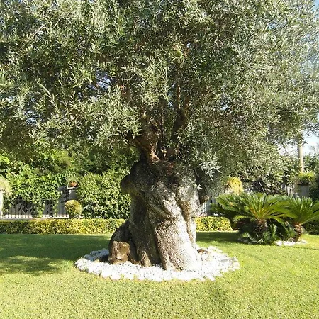 Bed & Breakfast Lura Pompei